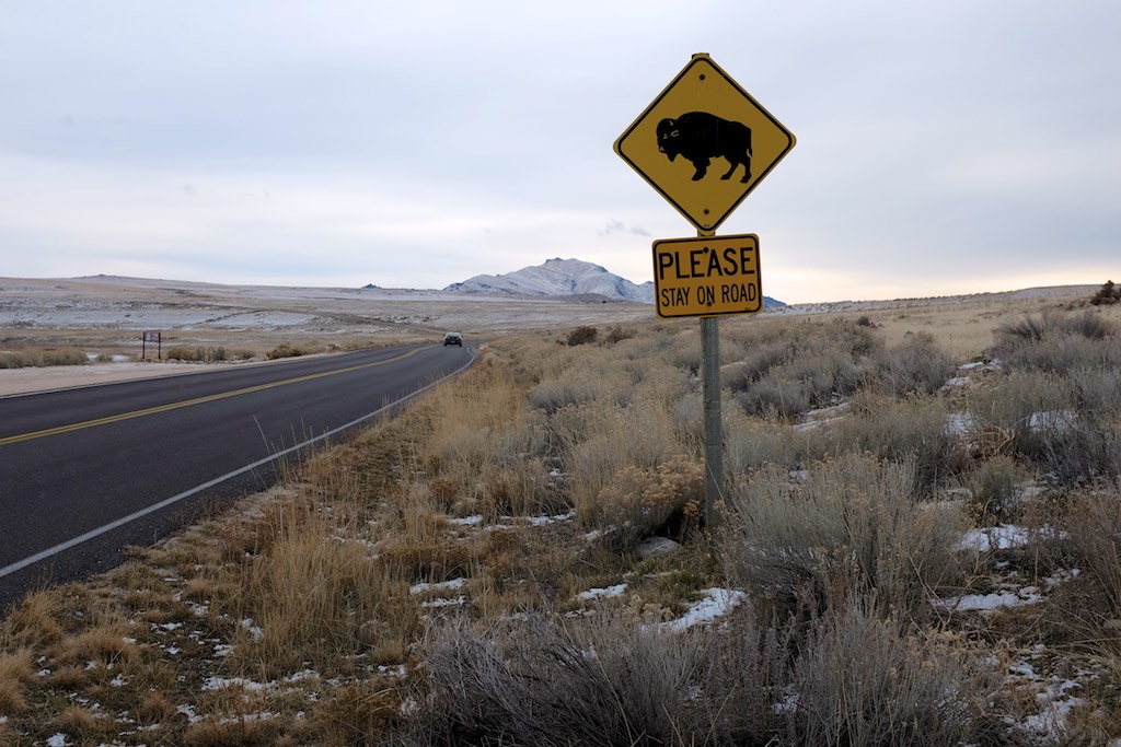 Antelope Island State Park is about an hour's drive from Salt Lake City.